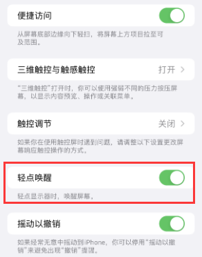 尚志苹果授权维修站分享iPhone轻点无法唤醒怎么办 