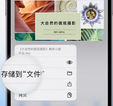 尚志apple维修中心分享iPhone文件应用中存储和找到下载文件