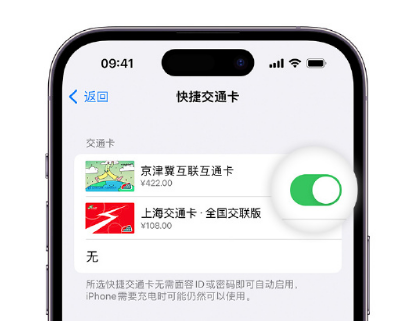 尚志apple维修点分享iPhone上更换Apple Pay快捷交通卡手绘卡面 