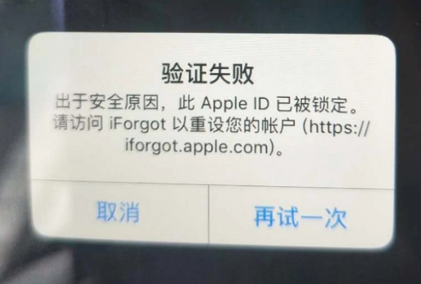 尚志iPhone维修分享iPhone上正常登录或使用AppleID怎么办 