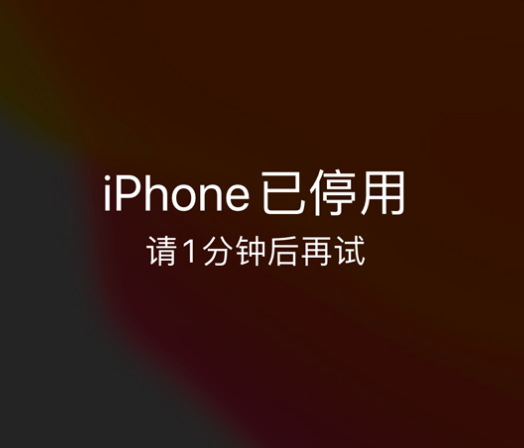 尚志苹果手机维修分享:iPhone 显示“不可用”或“已停用”怎么办？还能保留数据吗？ 