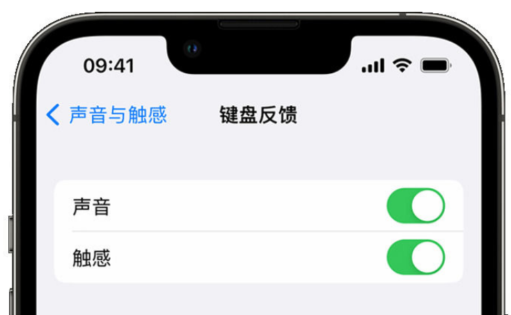 尚志苹果手机维修分享iPhone 14触感键盘使用方法 