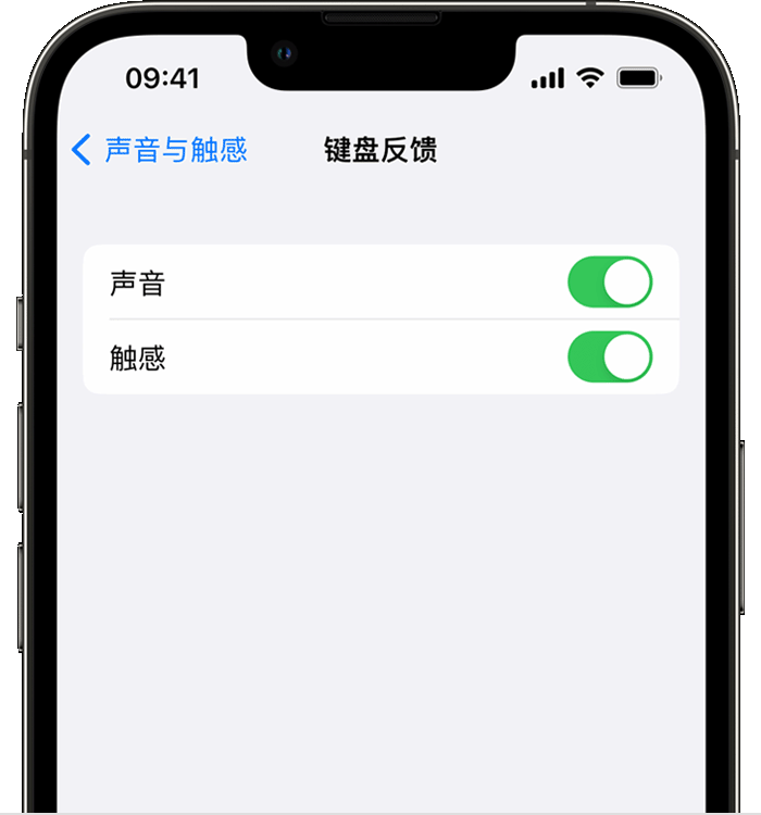 尚志苹果14维修店分享如何在 iPhone 14 机型中使用触感键盘 