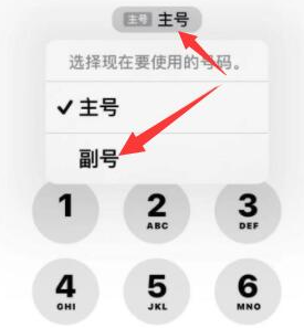 尚志苹果14维修店分享iPhone 14 Pro Max使用副卡打电话的方法 