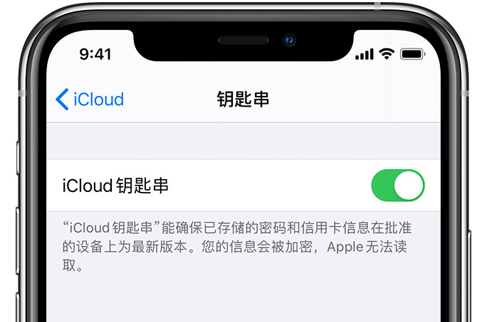 尚志苹果手机维修分享在 iPhone 上开启 iCloud 钥匙串之后会储存哪些信息 