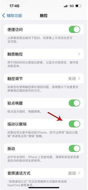 尚志苹果手机维修分享iPhone手机如何设置摇一摇删除文字 