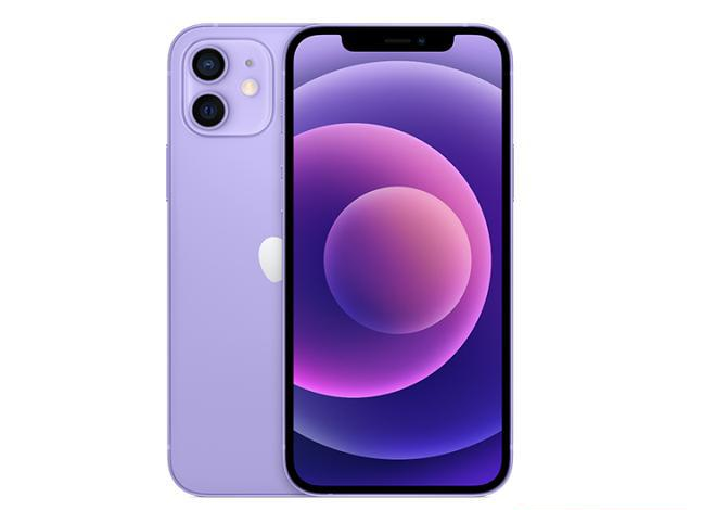 尚志苹果手机维修分享现阶段要不要入手紫色版iPhone12 
